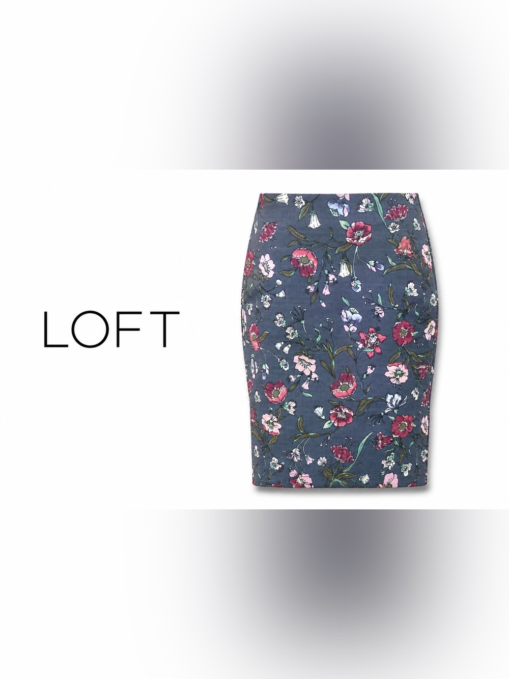 LOFT Floral Pencil Skirt Size 10 Blue Pink Garden Print Career Chic